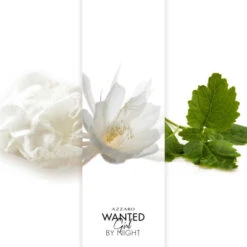 Azzaro Wanted Girl By Night Eau De Parfum 14 Azzaro Wanted Girl By Night Eau De Parfum -Hugo Boss Soldes Magasin azzaro wanted girl by night eau de parfum 6