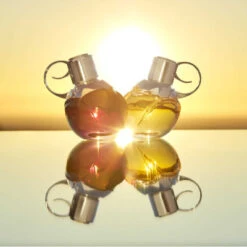 Azzaro Wanted Girl By Night Eau De Parfum 15 Azzaro Wanted Girl By Night Eau De Parfum -Hugo Boss Soldes Magasin azzaro wanted girl by night eau de parfum 7