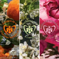 Guerlain Coffret Aqua Allegoria Mandarine Basilic Coffret Pour Femme -Hugo Boss Soldes Magasin coffret aqua allegoria mandarine basilic 5