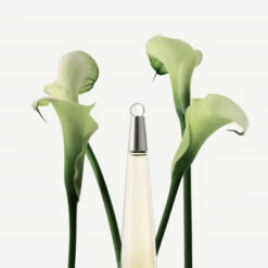 Issey Miyake Coffret L’Eau D’Issey Coffret Pour Femme -Hugo Boss Soldes Magasin coffret leau dissey eau de toilette 2