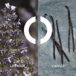 Coffret Pour Un Homme De CARON Coffret Pour Homme 8 Coffret Pour Un Homme De CARON Coffret Pour Homme -Hugo Boss Soldes Magasin coffret pour un homme de caron 2