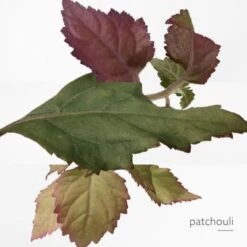 Hermès Eau Des Merveilles Bleue Eau De Toilette 12 Hermès Eau Des Merveilles Bleue Eau De Toilette -Hugo Boss Soldes Magasin eau merv bleue edt 4