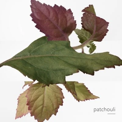 Hermès Eau Des Merveilles Bleue Eau De Toilette 5 Hermès Eau Des Merveilles Bleue Eau De Toilette – Image 5