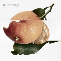 Hermès Eau Des Merveilles Eau De Toilette -Hugo Boss Soldes Magasin eau merveille edt 6