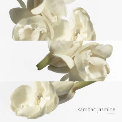 Hermès Le Jardin De Monsieur Li Eau De Toilette 5 Hermès Le Jardin De Monsieur Li Eau De Toilette – Image 5