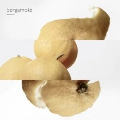 Hermès Le Jardin De Monsieur Li Eau De Toilette 14 Hermès Le Jardin De Monsieur Li Eau De Toilette -Hugo Boss Soldes Magasin jardin mr li edt 6