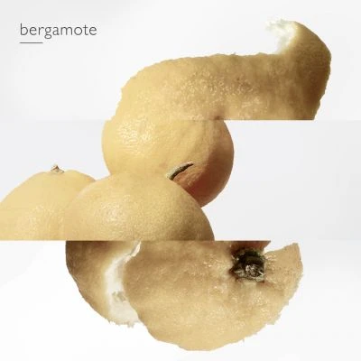 Hermès Le Jardin De Monsieur Li Eau De Toilette 7 Hermès Le Jardin De Monsieur Li Eau De Toilette – Image 7