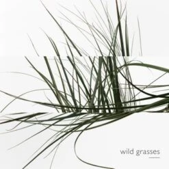 Hermès Un Jardin Sur Le Toit Eau De Toilette -Hugo Boss Soldes Magasin jardin s toit edt 5