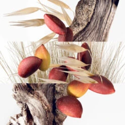 Hermès Un Jardin à Cythère Eau De Toilette -Hugo Boss Soldes Magasin un jardin a cythere 2