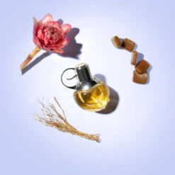 Azzaro Wanted Girl Eau De Parfum -Hugo Boss Soldes Magasin wanted girl edp 3